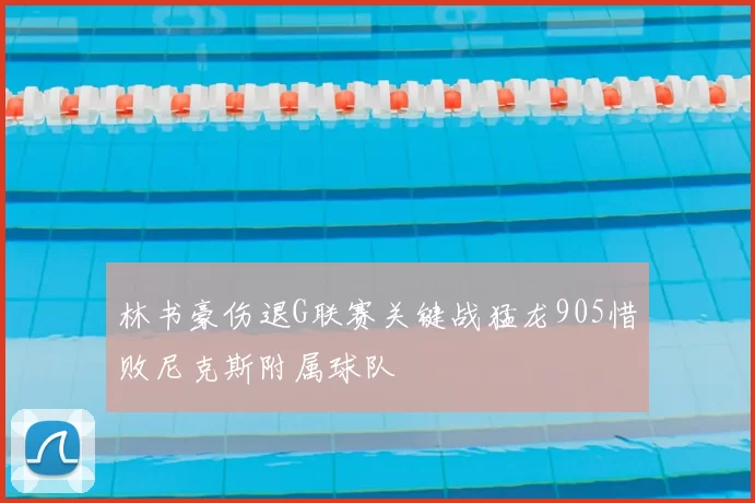 林书豪伤退G联赛关键战猛龙905惜败尼克斯附属球队