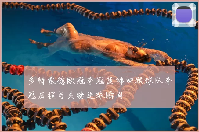 多特蒙德欧冠夺冠集锦回顾球队夺冠历程与关键进球瞬间