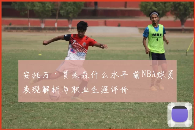 安托万·贾米森什么水平 前NBA球员表现解析与职业生涯评价