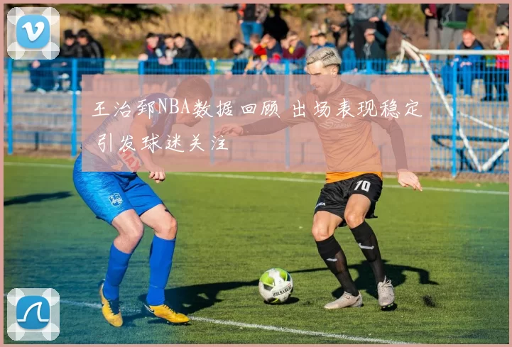 王治郅NBA数据回顾 出场表现稳定 引发球迷关注