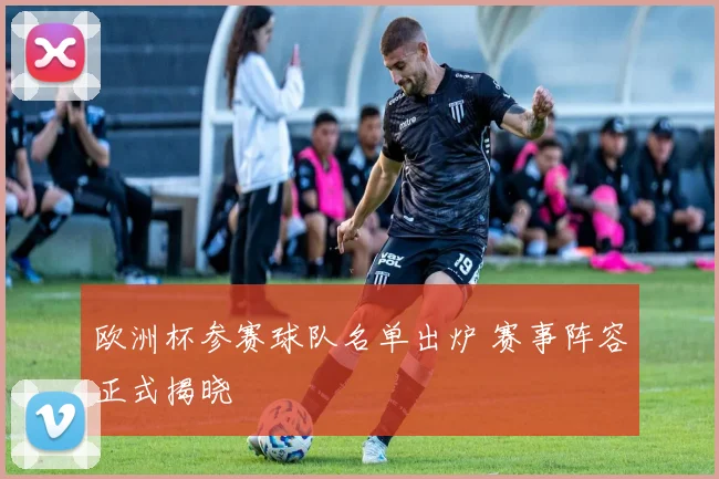 欧洲杯参赛球队名单出炉 赛事阵容正式揭晓