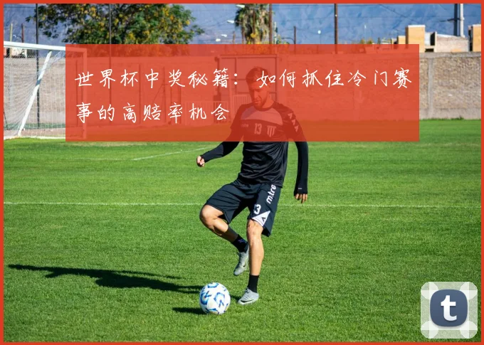 世界杯中奖秘籍:如何抓住冷门赛事的高赔率机会