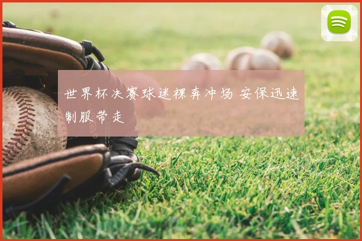 世界杯决赛球迷裸奔冲场 安保迅速制服带走