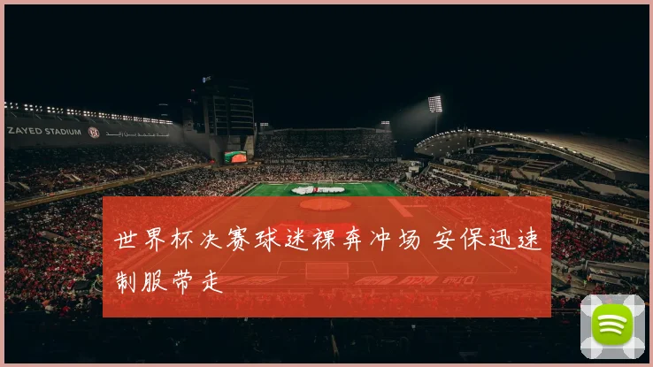 世界杯决赛球迷裸奔冲场 安保迅速制服带走