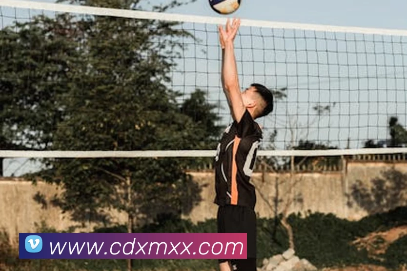 多媒体互动体验